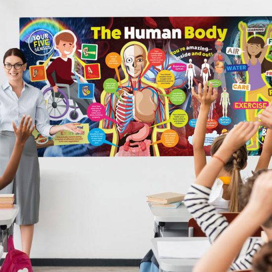 The Human Body - Curriculum Key Stages 1 and 2 Wall Displays