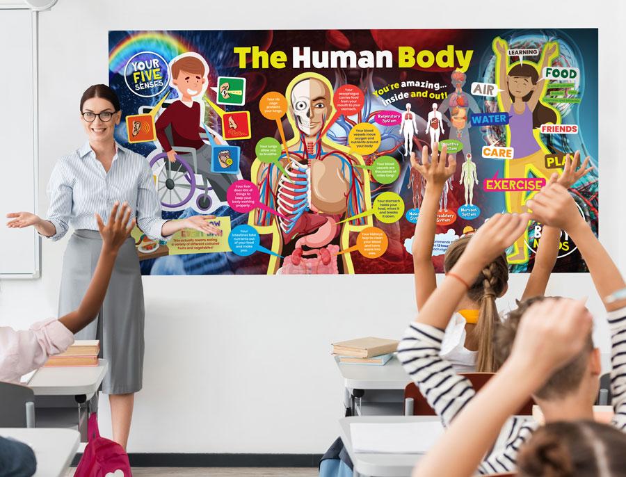 The Human Body - Curriculum Key Stages 1 and 2 Wall Displays