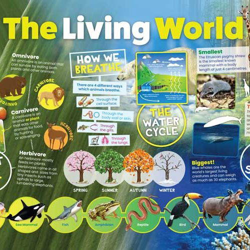 The Living World - Curriculum Key Stages 1 and 2 Wall Displays