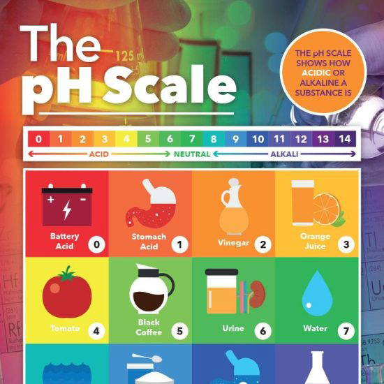 pH Scale School Science Chemistry Wall Display