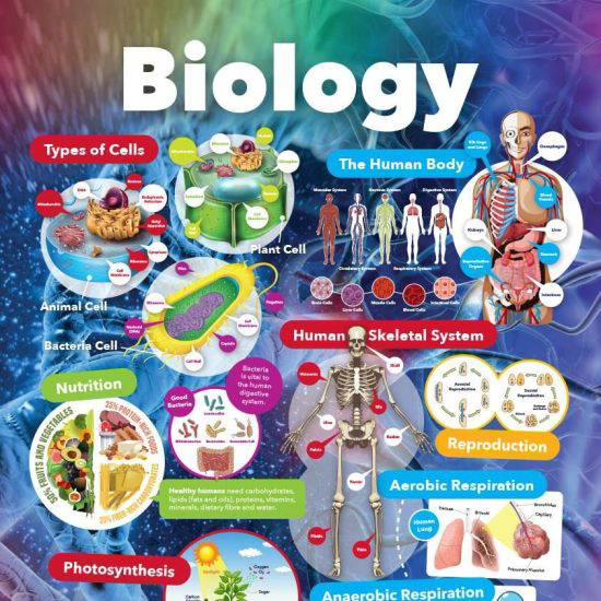 Understanding Biology - Educational Curriculum School Wall Display