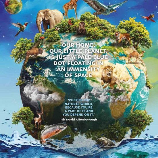 Environmental Planet Earth - Educational Wall Displays for Schools