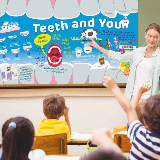 Healthy Teeth – Educational Displays For Primary Schools