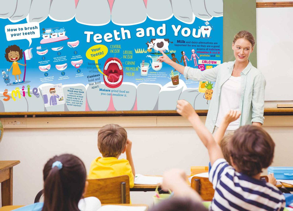 Healthy Teeth – Educational Displays For Primary Schools