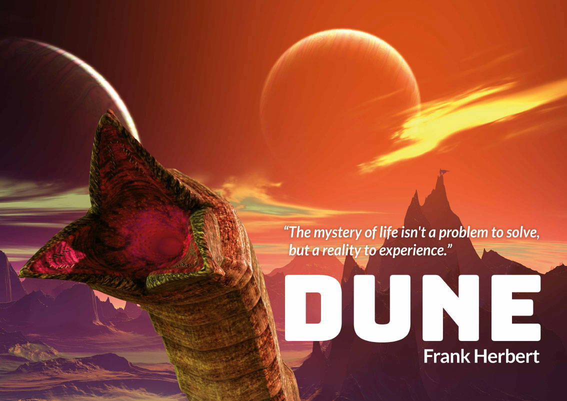Dune GCSE Literature | Wall Displays for Secondary School Classrooms