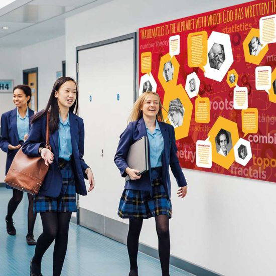 Famous Mathematicians - Educational School Wall Display